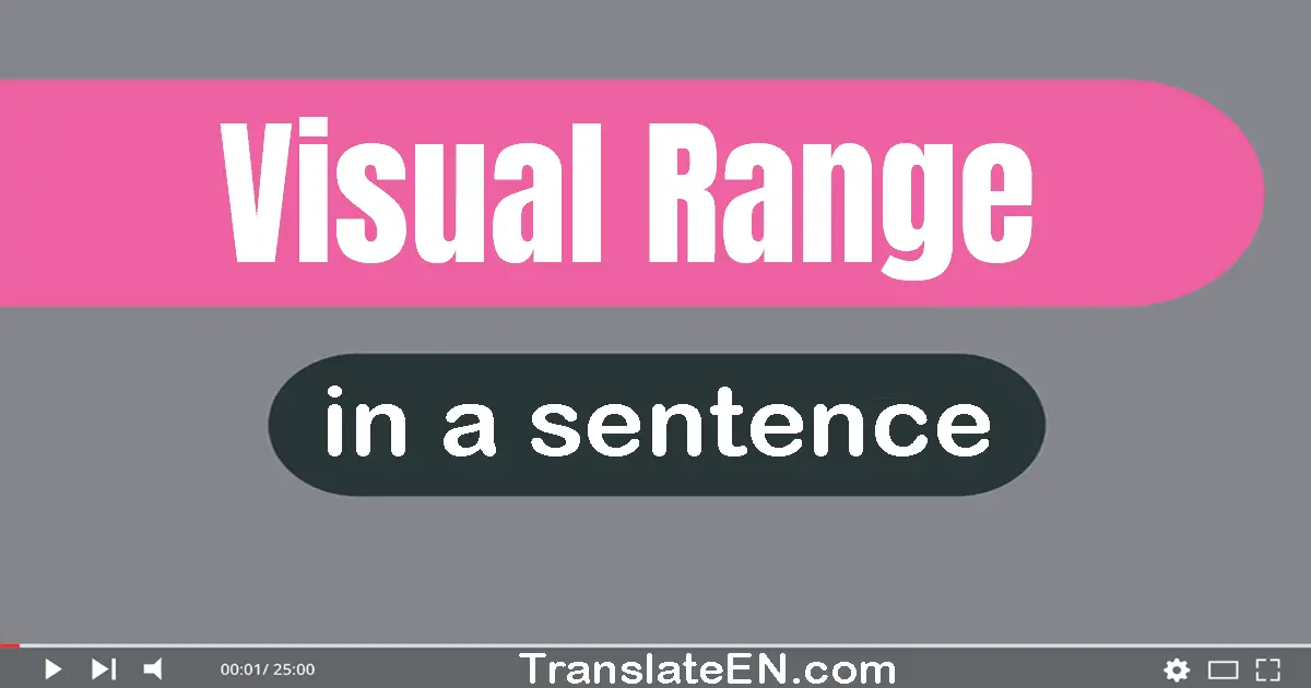 Use "visual range" in a sentence | "visual range" sentence examples