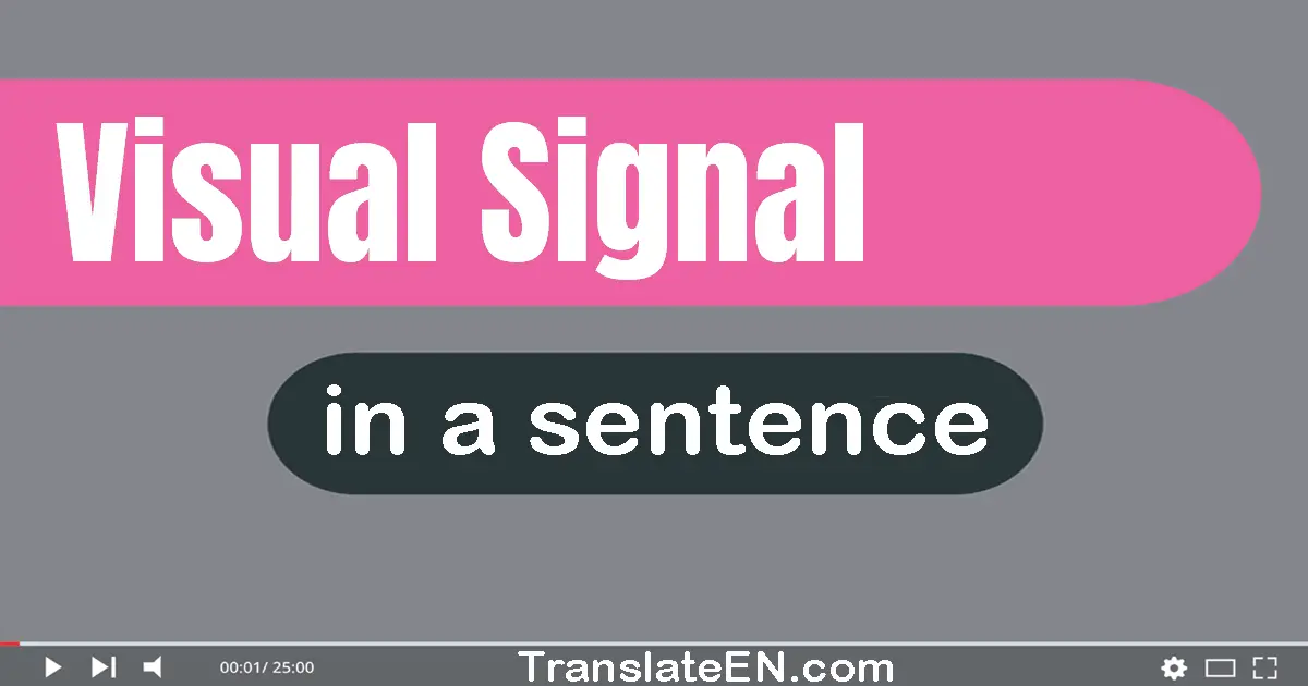 Use "visual signal" in a sentence | "visual signal" sentence examples