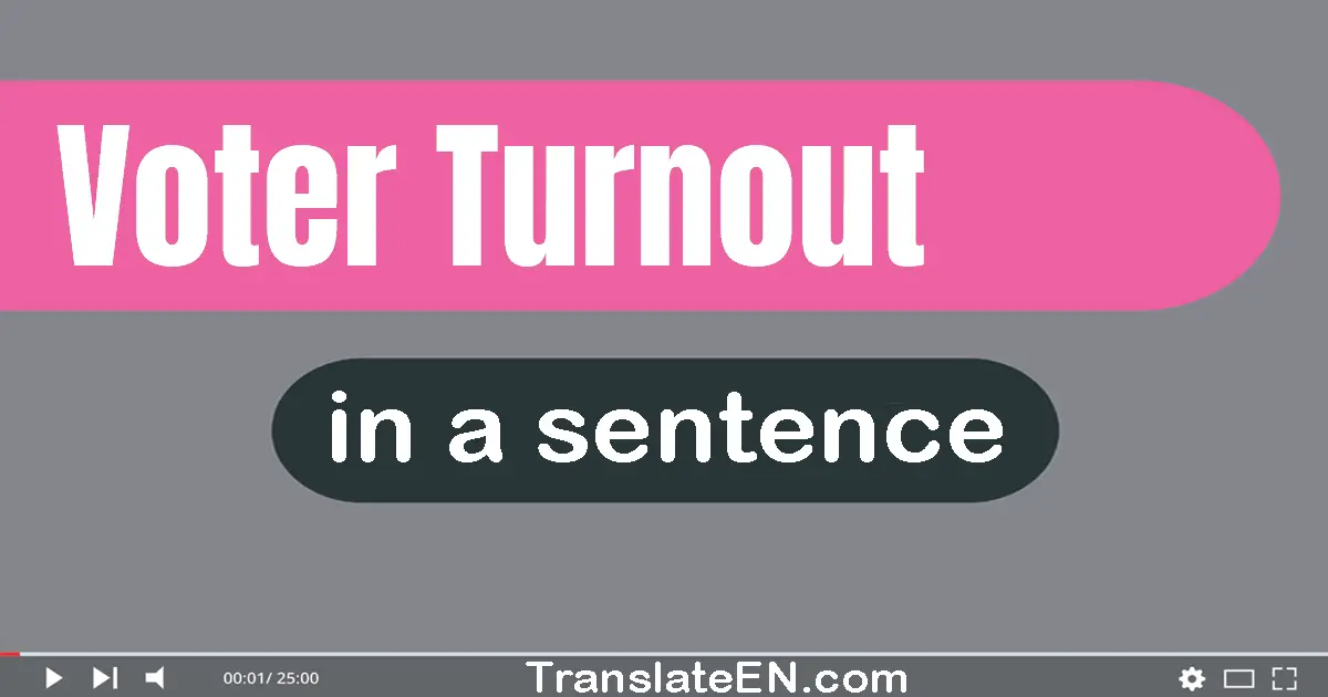 Use "voter turnout" in a sentence | "voter turnout" sentence examples