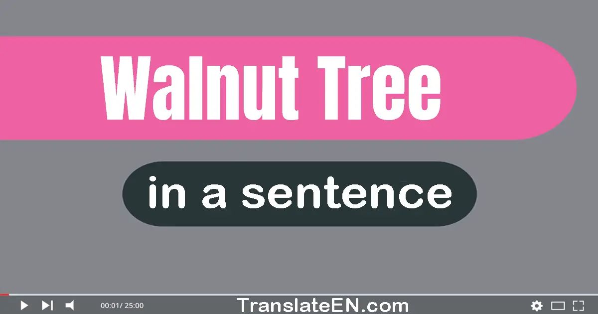 Use "walnut tree" in a sentence | "walnut tree" sentence examples