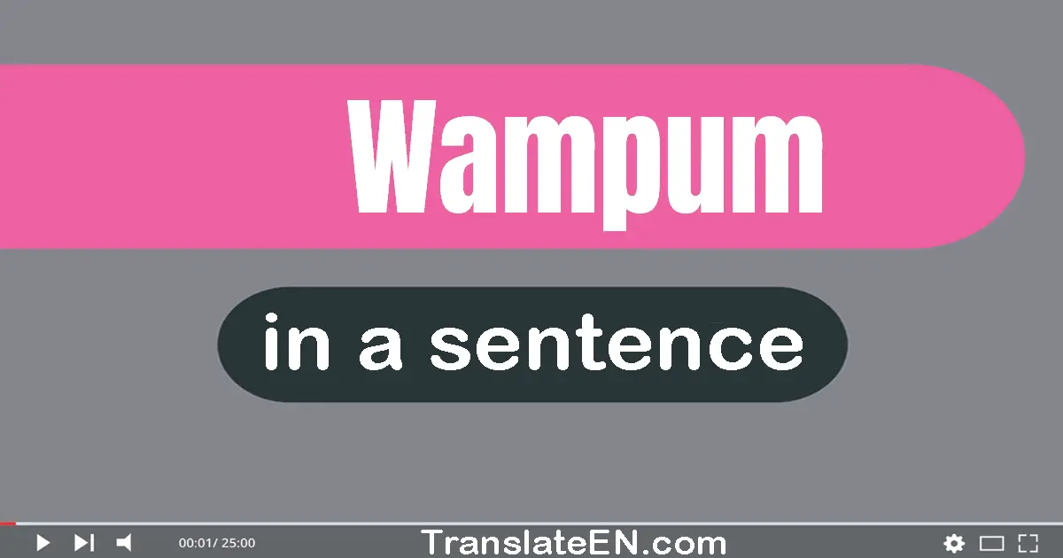 Use "wampum" in a sentence | "wampum" sentence examples