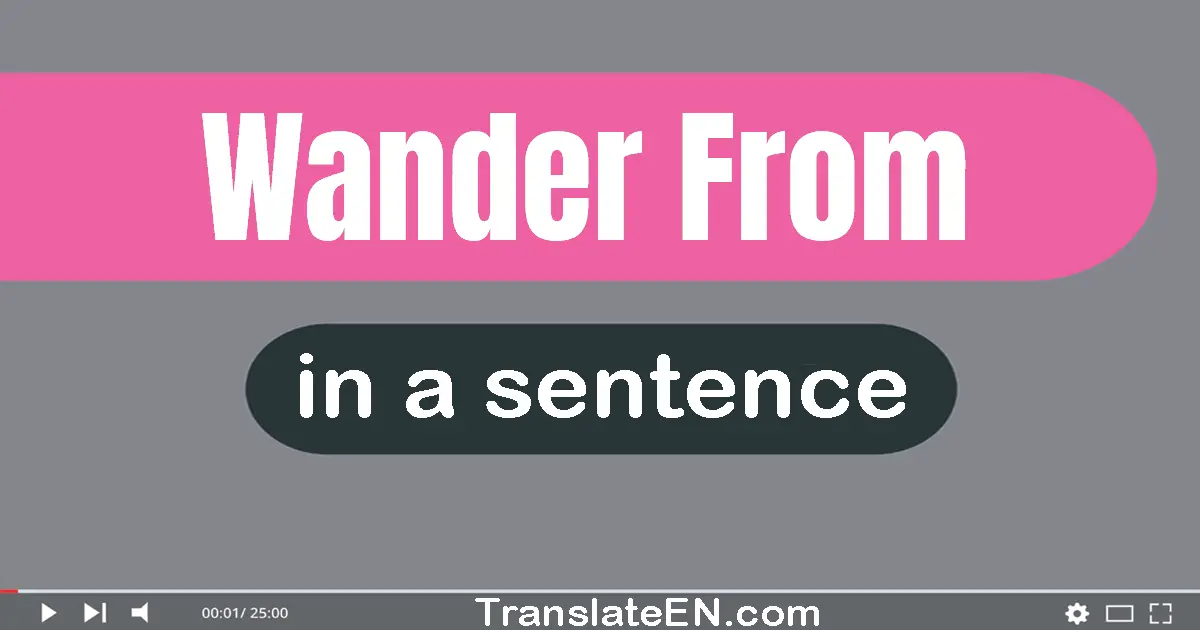 Use "wander from" in a sentence | "wander from" sentence examples