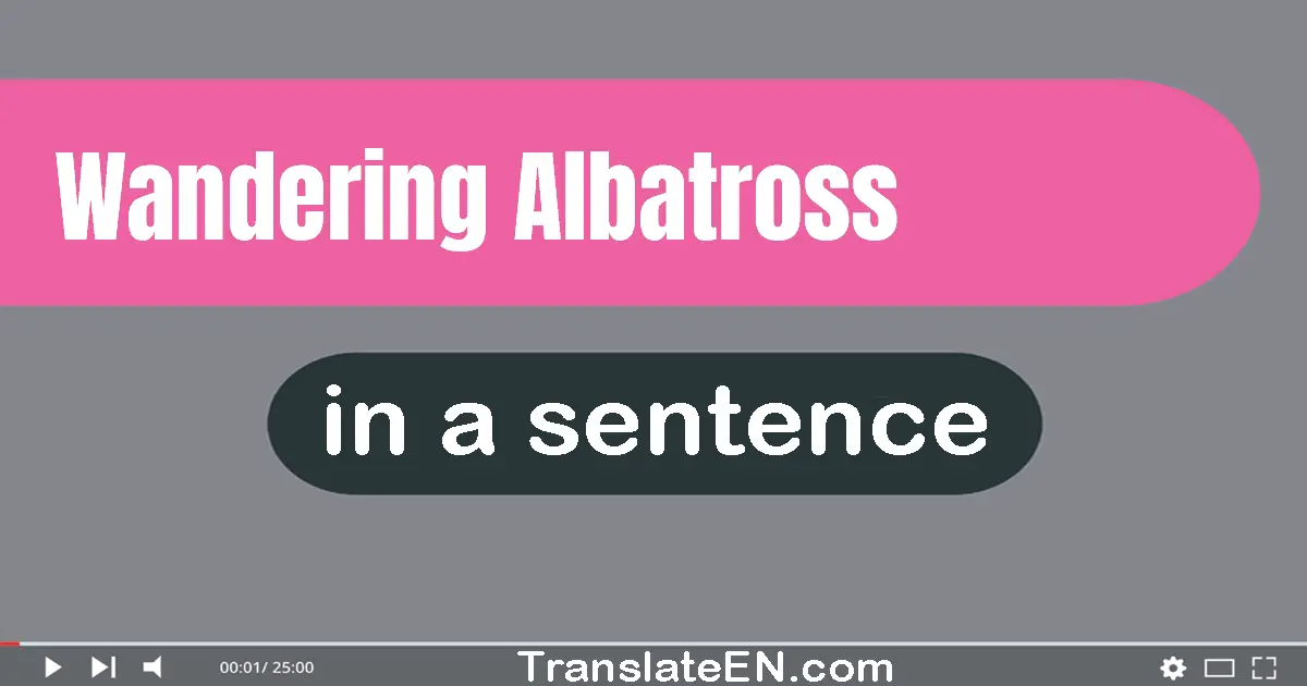 Use "wandering albatross" in a sentence | "wandering albatross" sentence examples