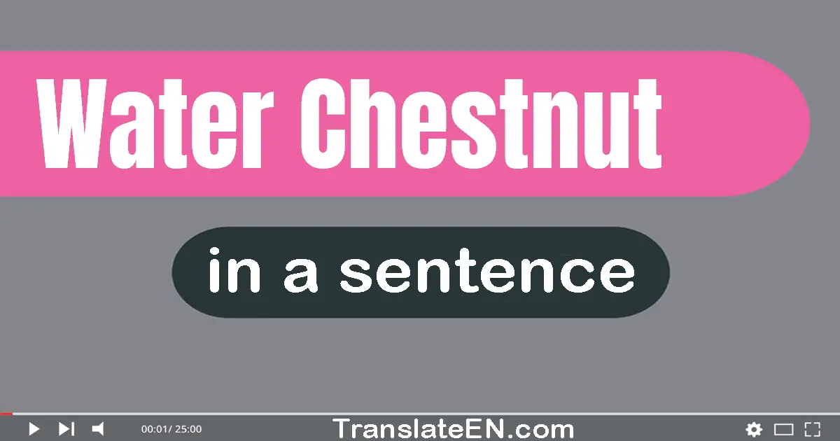 Use "water chestnut" in a sentence | "water chestnut" sentence examples
