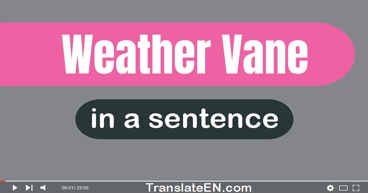 Use "weather vane" in a sentence | "weather vane" sentence examples