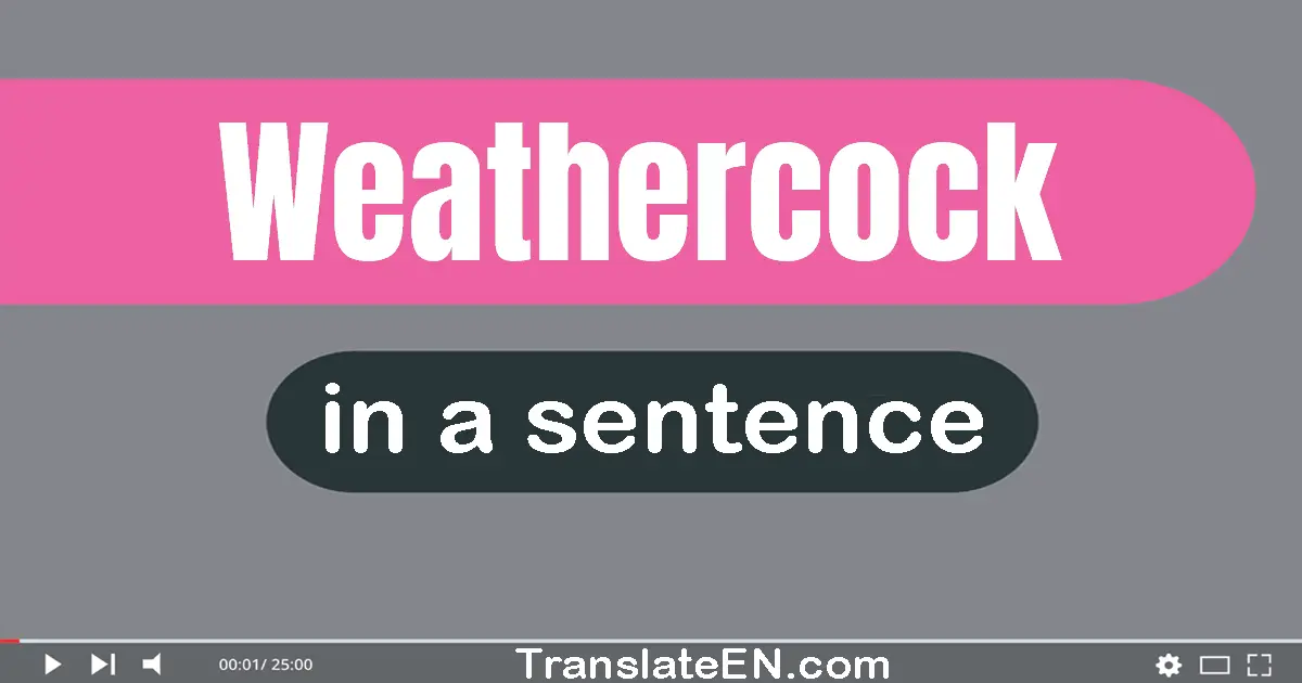 Use "weathercock" in a sentence | "weathercock" sentence examples