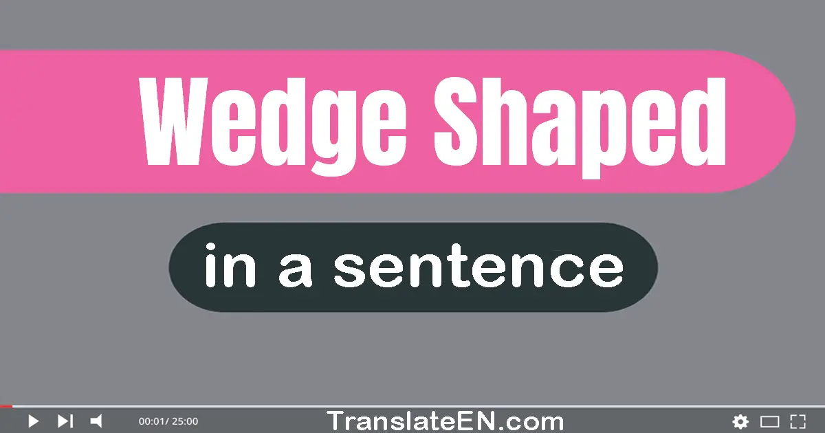 Use "wedge-shaped" in a sentence | "wedge-shaped" sentence examples