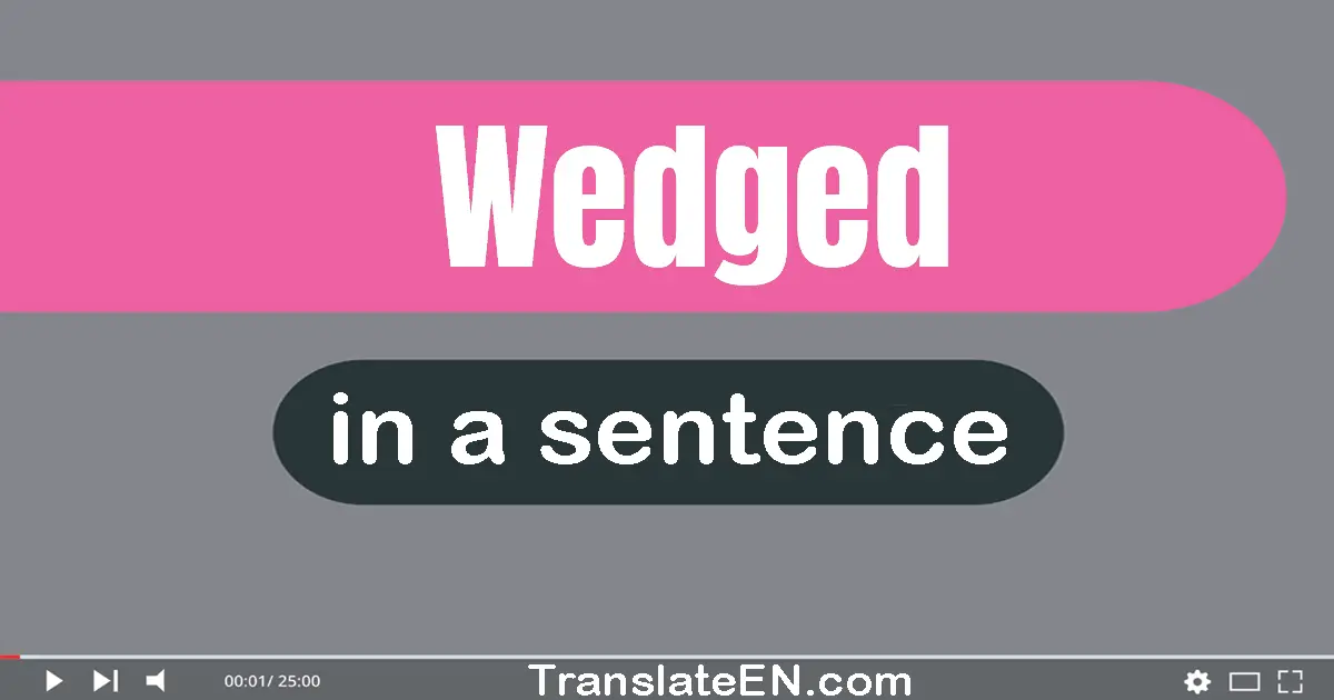 Use "wedged" in a sentence | "wedged" sentence examples