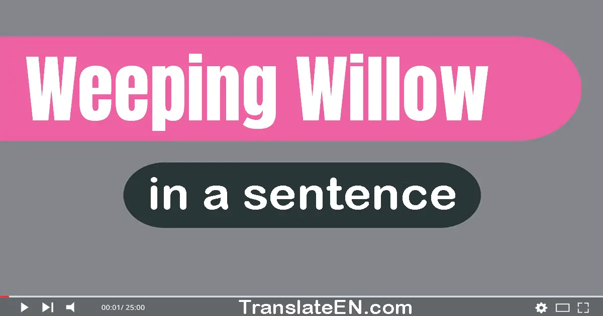Use "weeping willow" in a sentence | "weeping willow" sentence examples