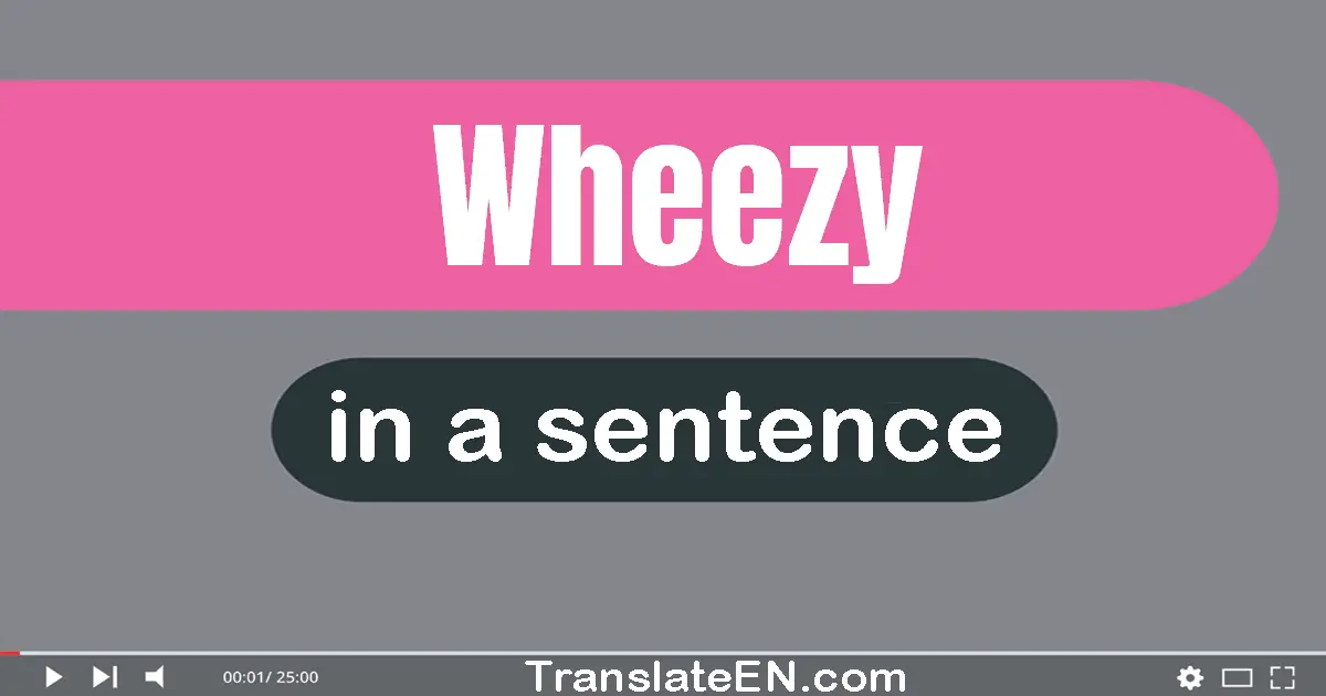 Use "wheezy" in a sentence | "wheezy" sentence examples