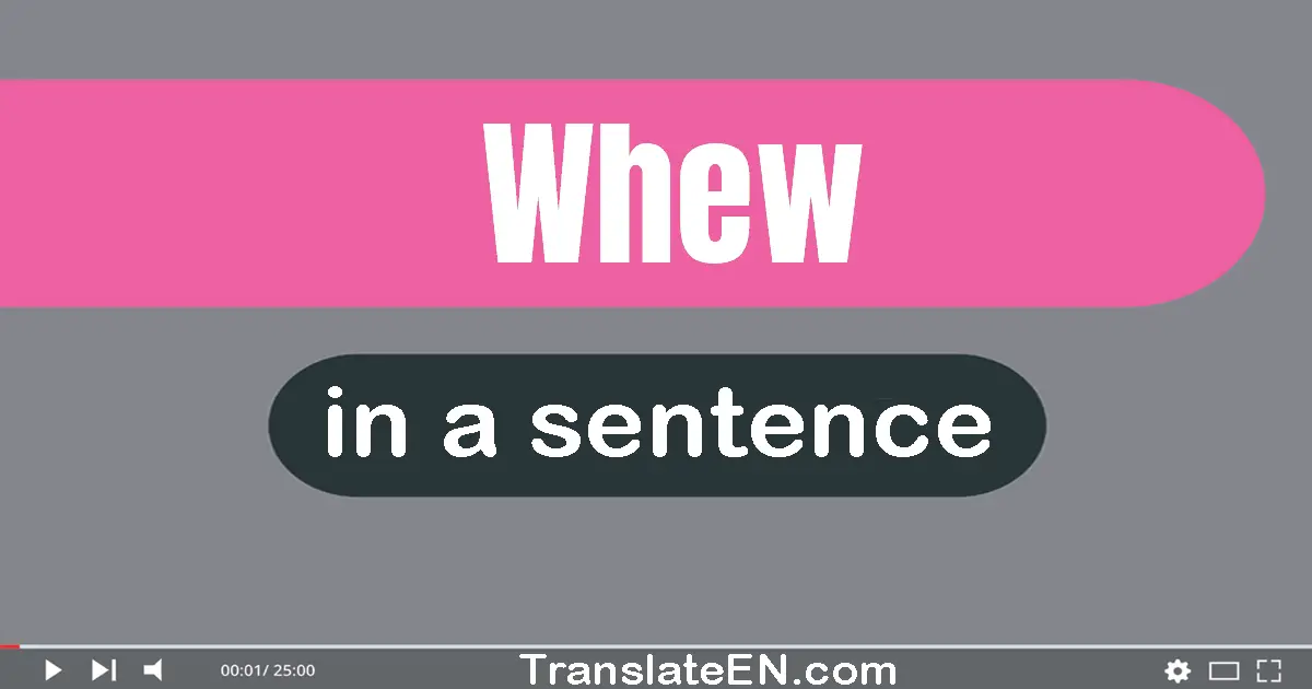 Use "whew" in a sentence | "whew" sentence examples