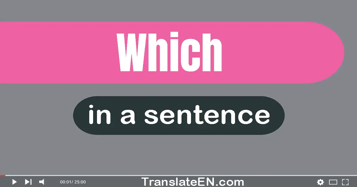 Use "which" in a sentence | "which" sentence examples