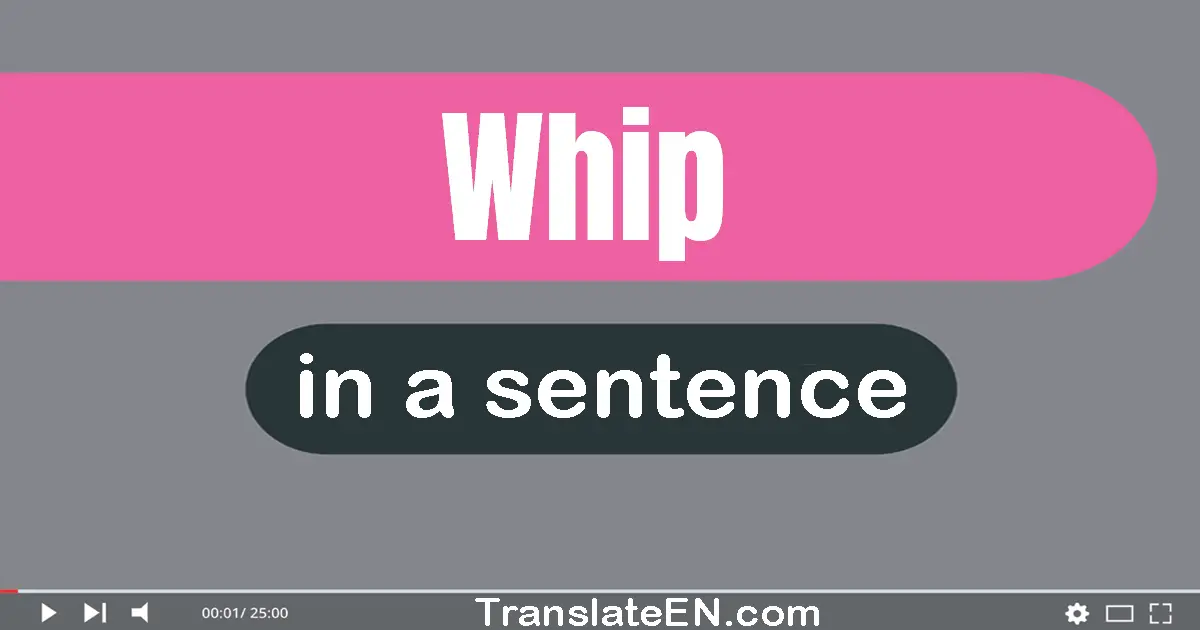 Use "whip" in a sentence | "whip" sentence examples