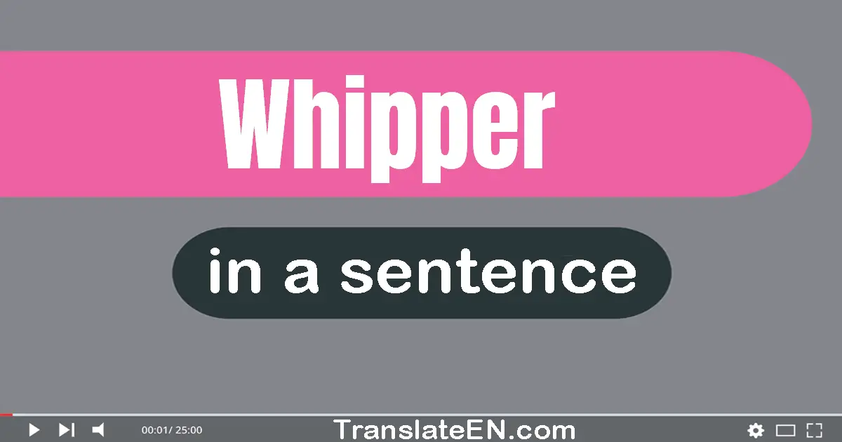 Use "whipper" in a sentence | "whipper" sentence examples