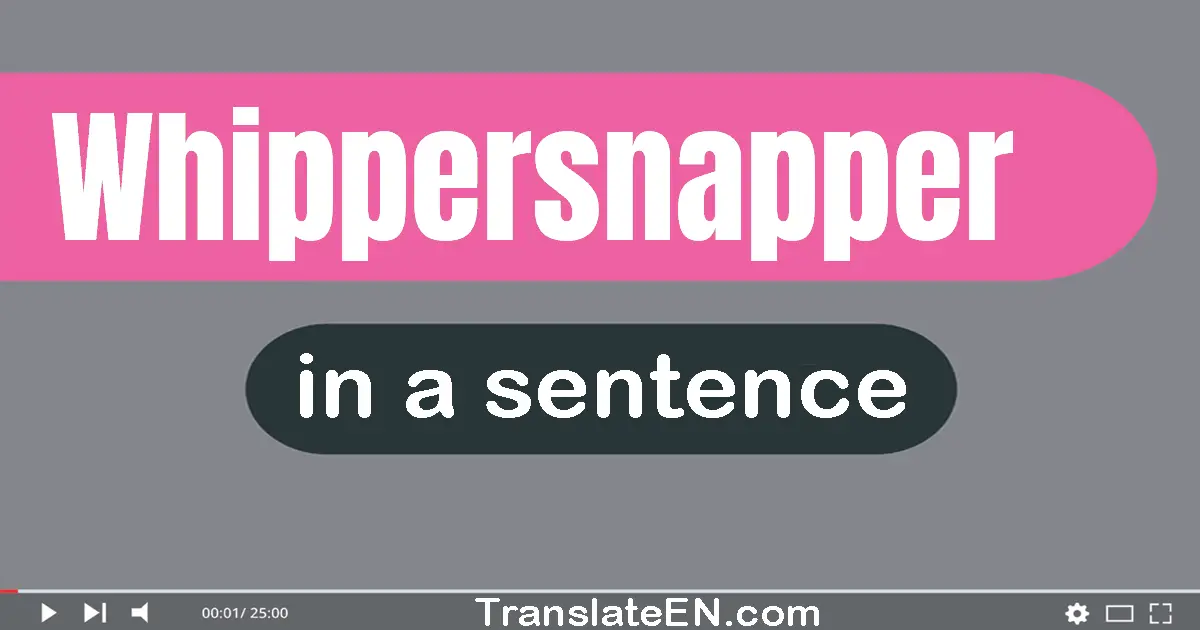 Use "whippersnapper" in a sentence | "whippersnapper" sentence examples
