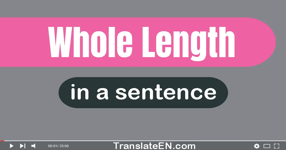 Use "whole length" in a sentence | "whole length" sentence examples