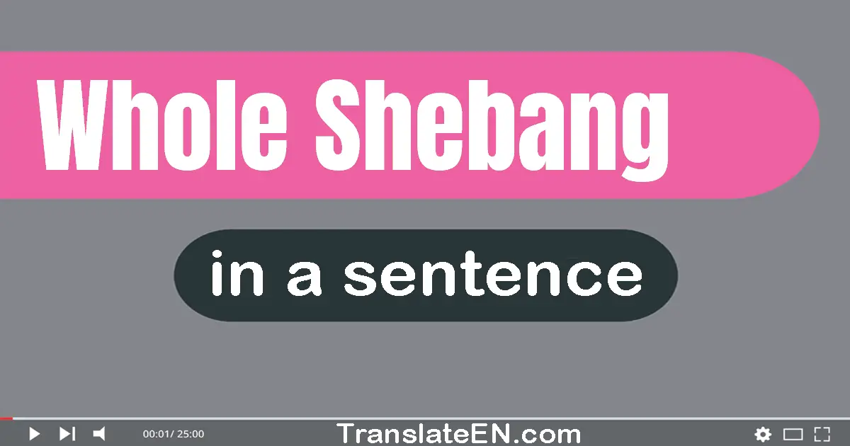 Use "whole shebang" in a sentence | "whole shebang" sentence examples