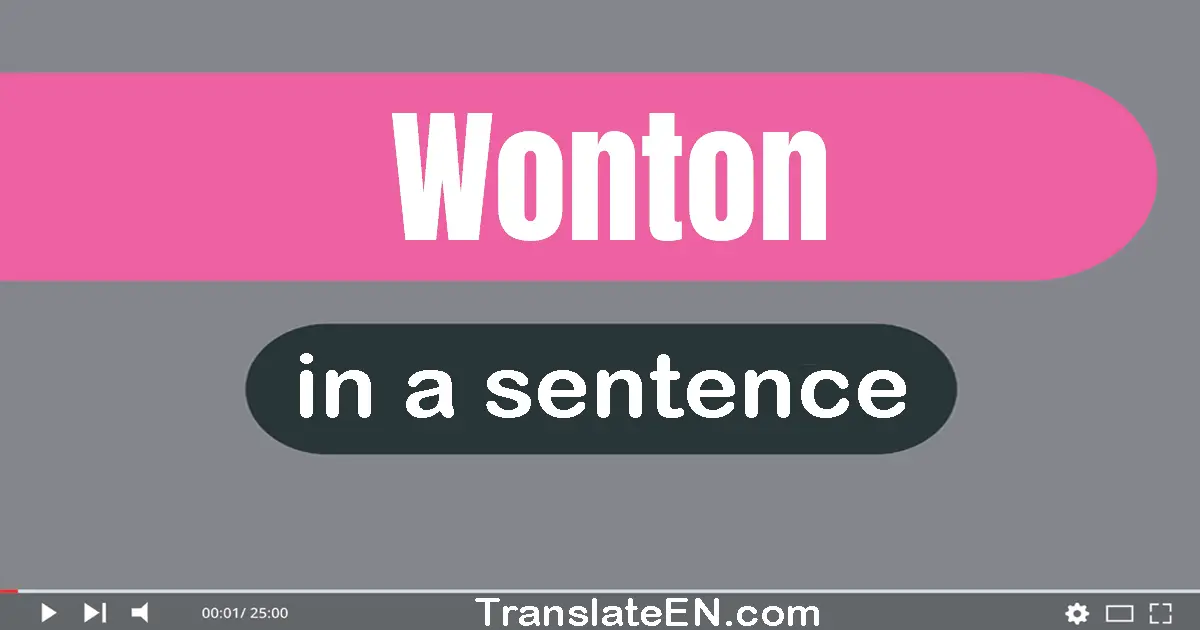 Use "wonton" in a sentence | "wonton" sentence examples
