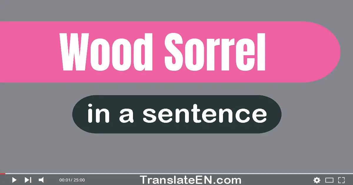 Use "wood sorrel" in a sentence | "wood sorrel" sentence examples