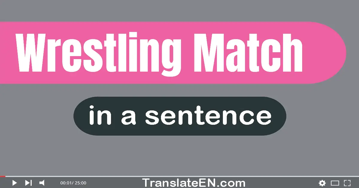 Use "wrestling match" in a sentence | "wrestling match" sentence examples