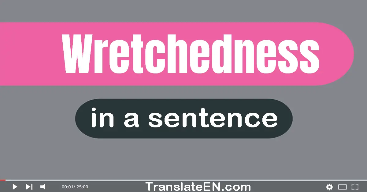 Use "wretchedness" in a sentence | "wretchedness" sentence examples