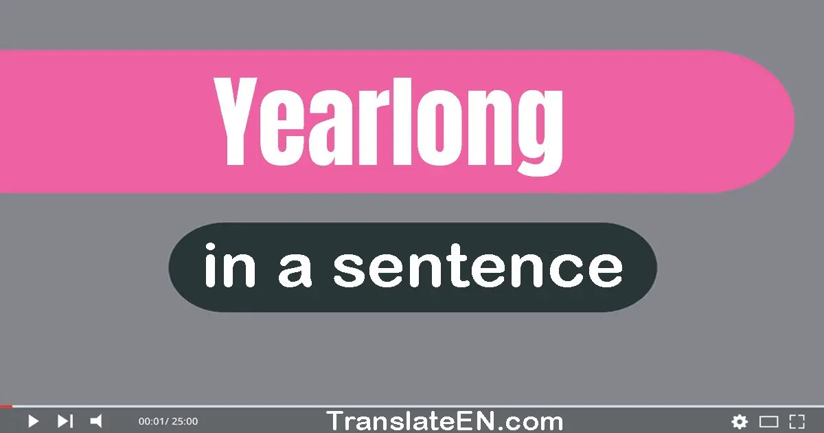 Use "yearlong" in a sentence | "yearlong" sentence examples