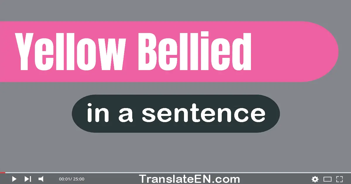 Use "yellow-bellied" in a sentence | "yellow-bellied" sentence examples