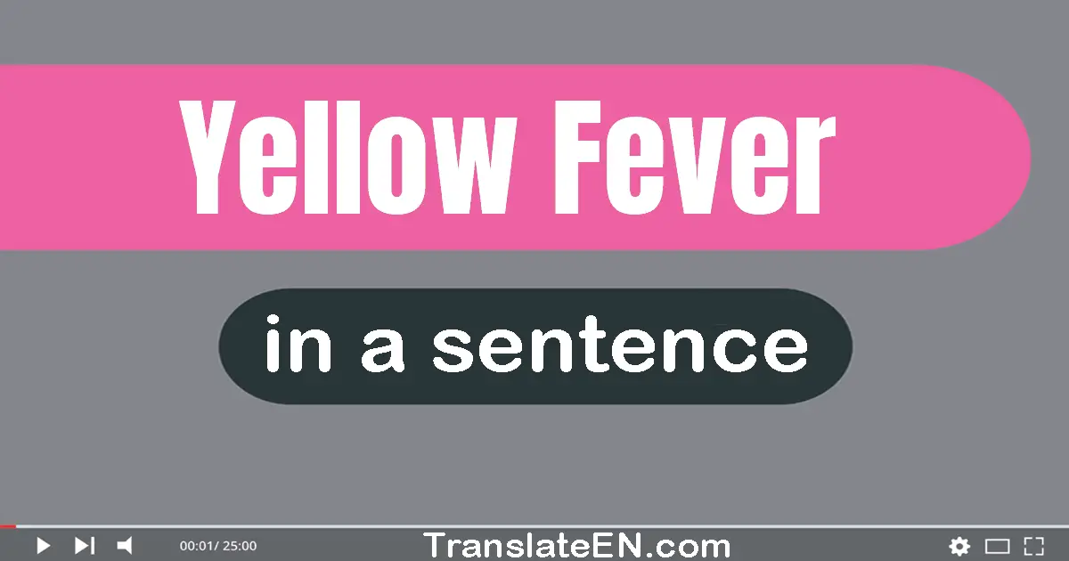 Use "yellow fever" in a sentence | "yellow fever" sentence examples