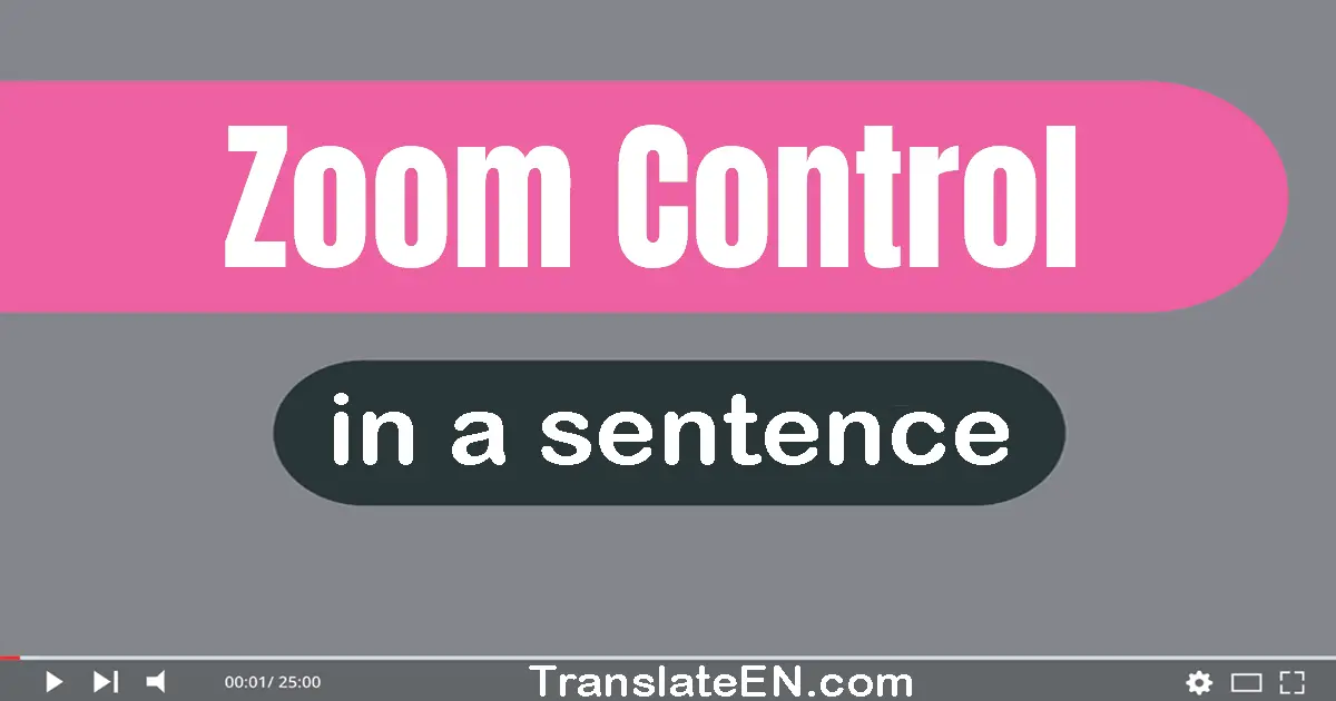 Use "zoom control" in a sentence | "zoom control" sentence examples