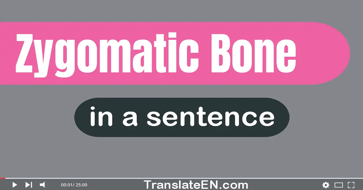 Use "zygomatic bone" in a sentence | "zygomatic bone" sentence examples