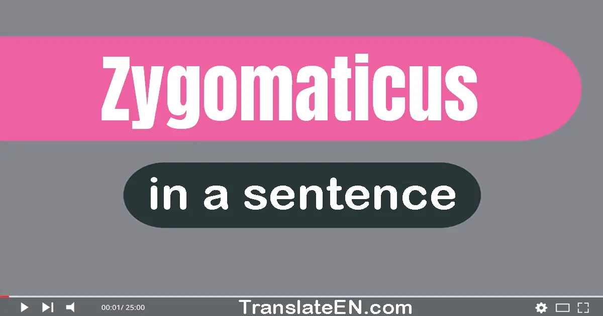 Use "zygomaticus" in a sentence | "zygomaticus" sentence examples